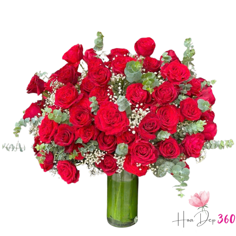 hoa chúc mừng sinh nhật