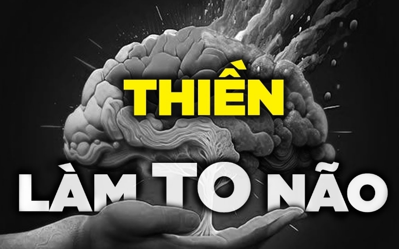 Phân tích tác động của thiền định làm thay đổi cấu trúc vỏ não con người