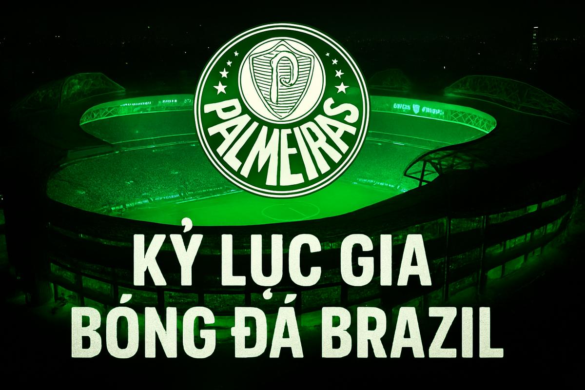 câu lạc bộ bóng đá palmeiras
